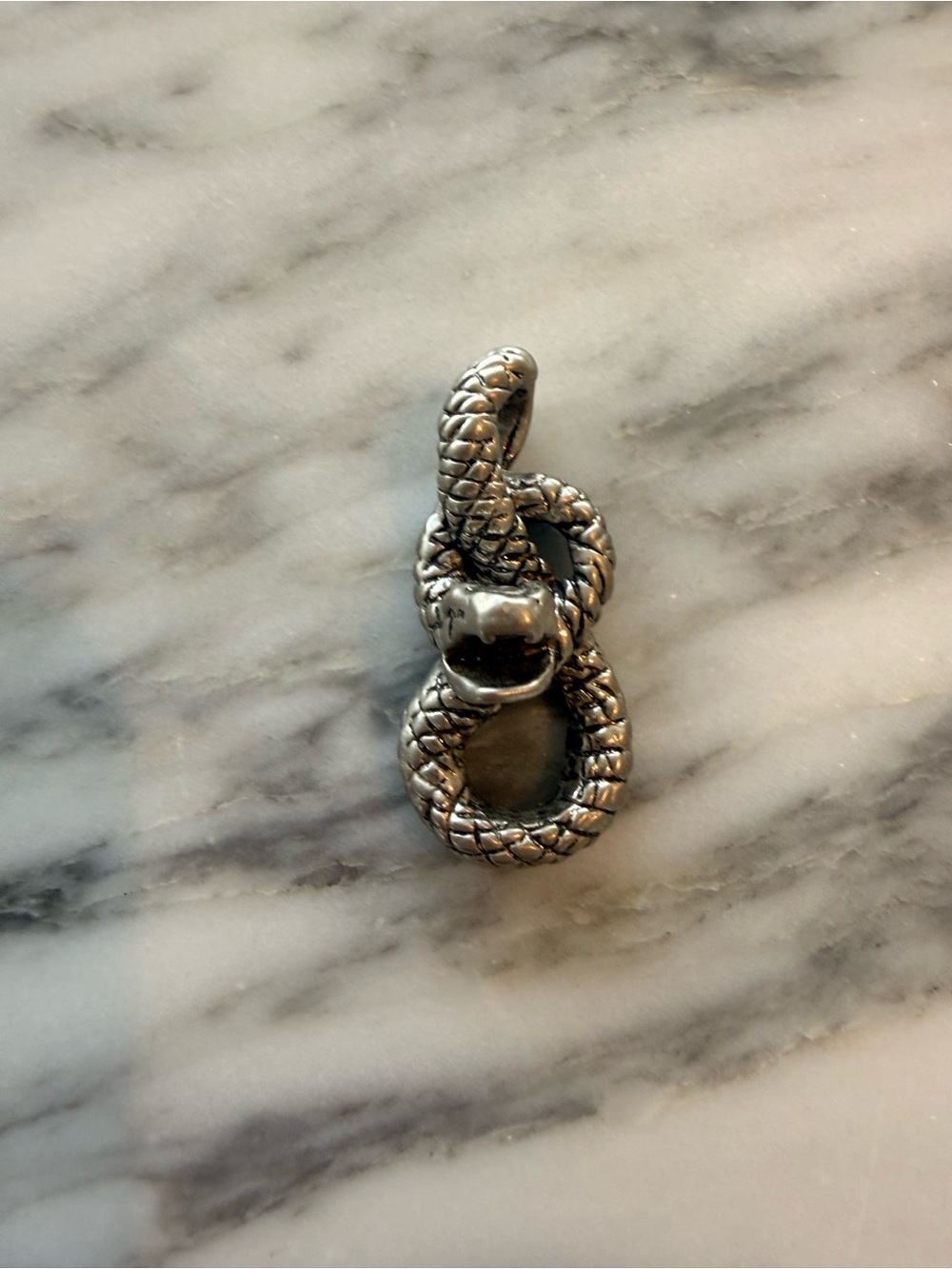 Silver Snake Loop Pendant
